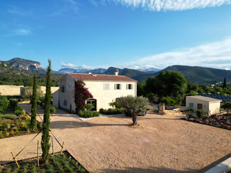 plush74 mallorquin magic 17