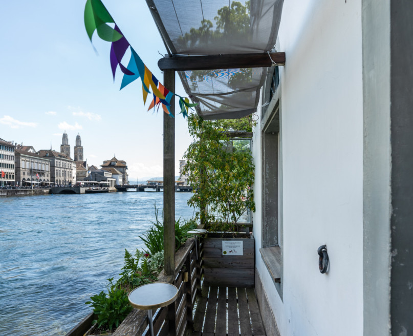 plush74 marktlucke zh 13