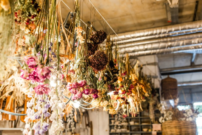 plush74 marsano laden 9