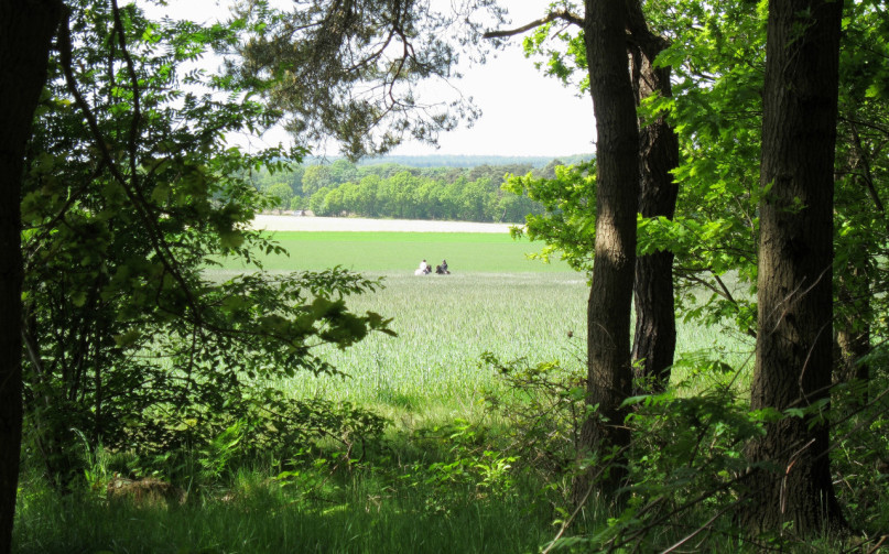 plush74 bungalow aus der mitte des jahrhunderts rhenen 93