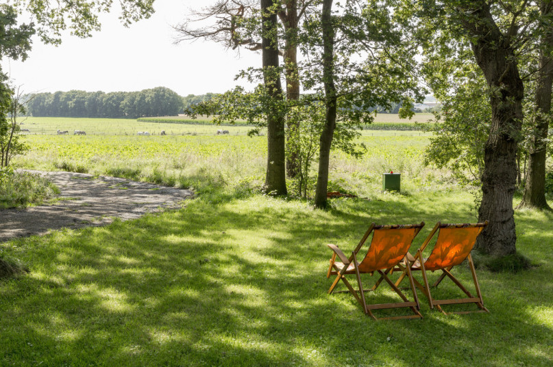 plush74 Bungalow aus der Mitte des Jahrhunderts rhenen 96 (3)