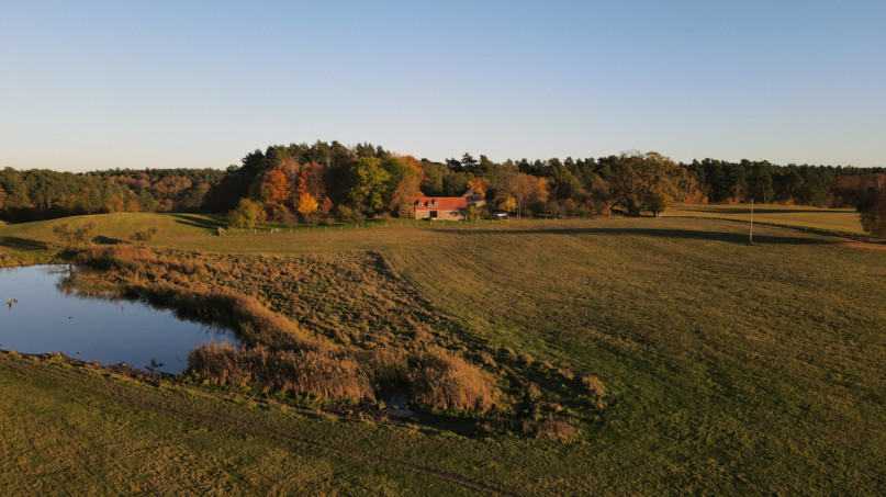 plush74 modern country studio 16