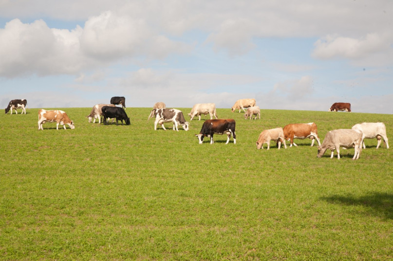 plush74 modern house berlin brandenburg countryside farmhouse nature lake rental scout film photo location17