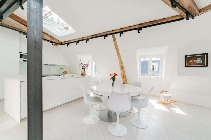 plush74 modern paris penthouse 3(1)