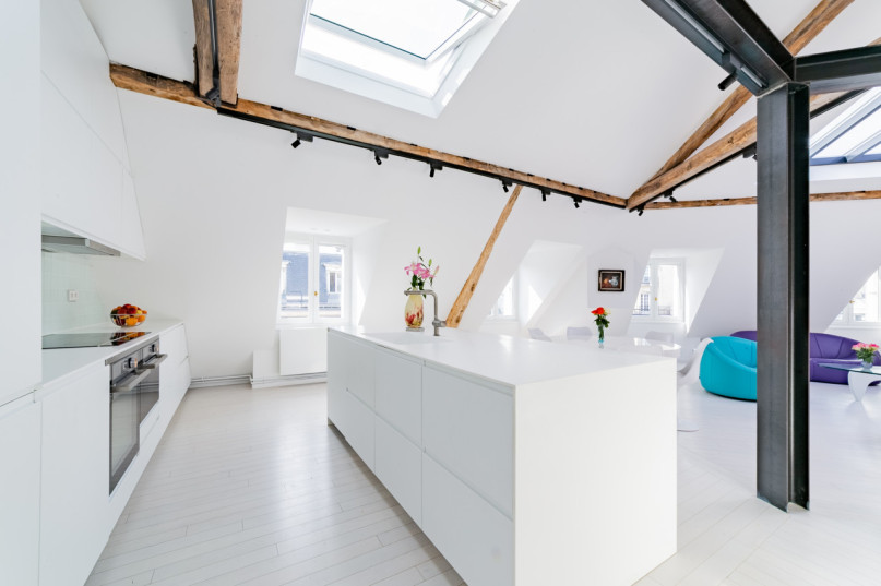 plush74 modern paris penthouse 5(1)