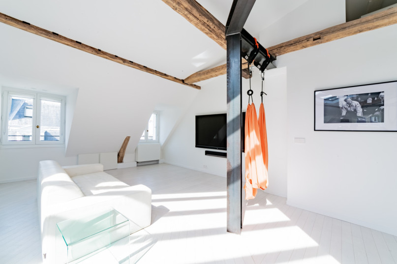 plush74 modern paris penthouse 6(1)