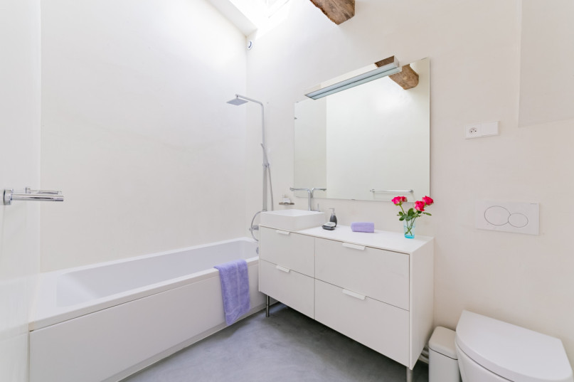 plush74 modern paris penthouse 9(1)