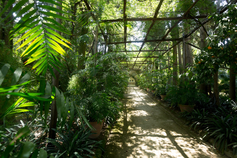 plush74 napoli villa garden 3