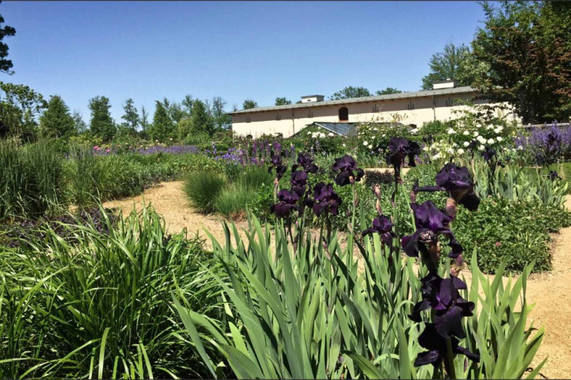 plush74 nature estate outside berlin 18