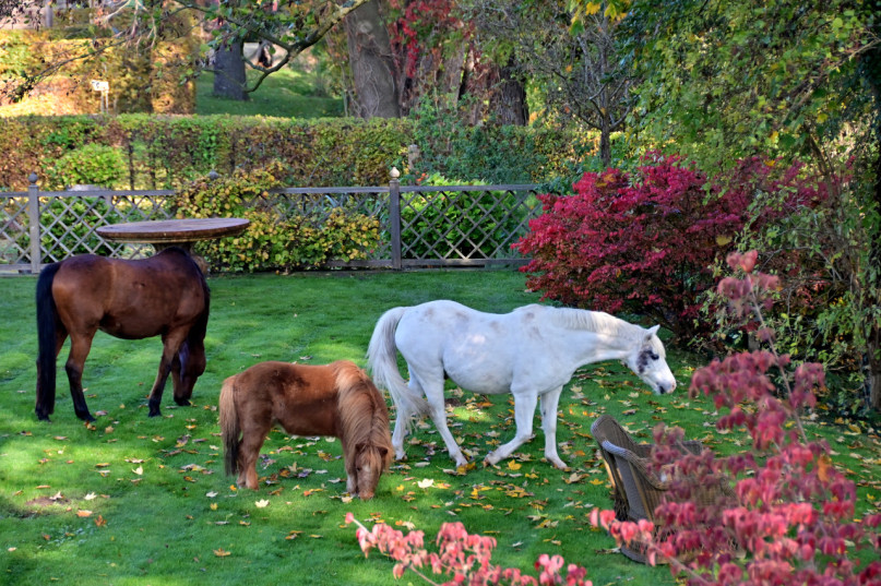 plush74 nature estate outside berlin 27