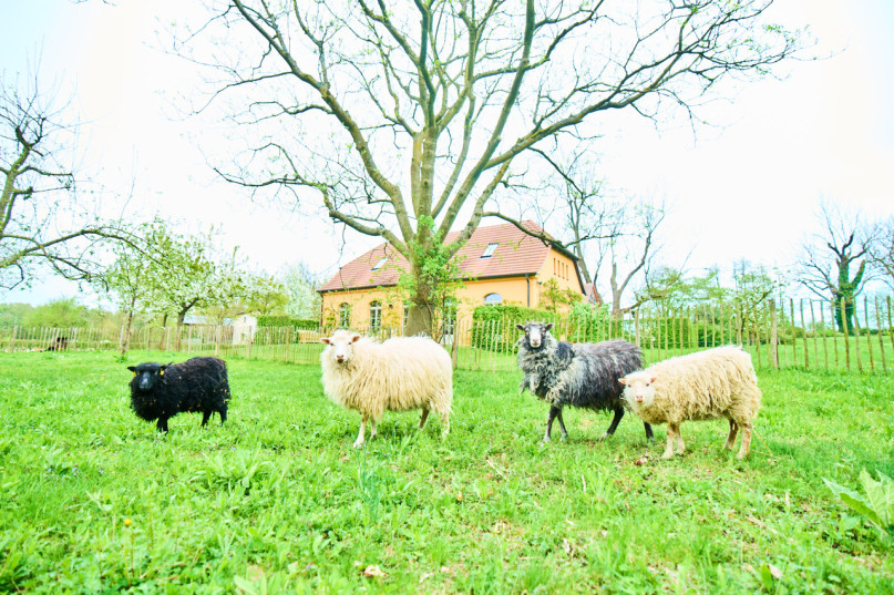 plush74 nature estate outside berlin 29