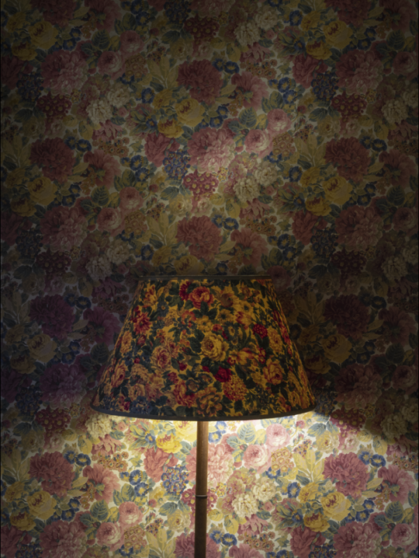 plush74 neoclassical villa near milan 12(1)