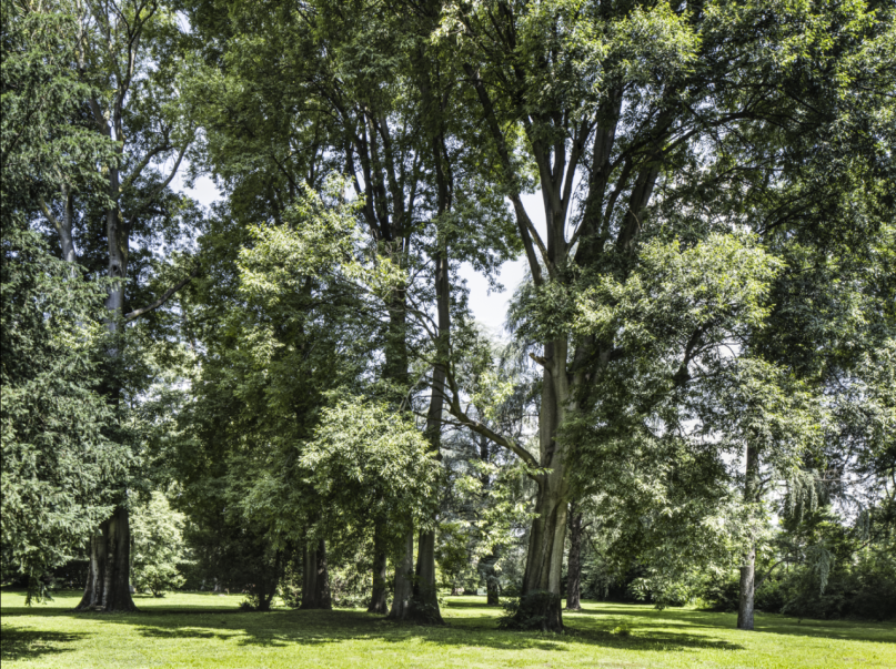 plush74 neoclassical villa near milan 59(1)