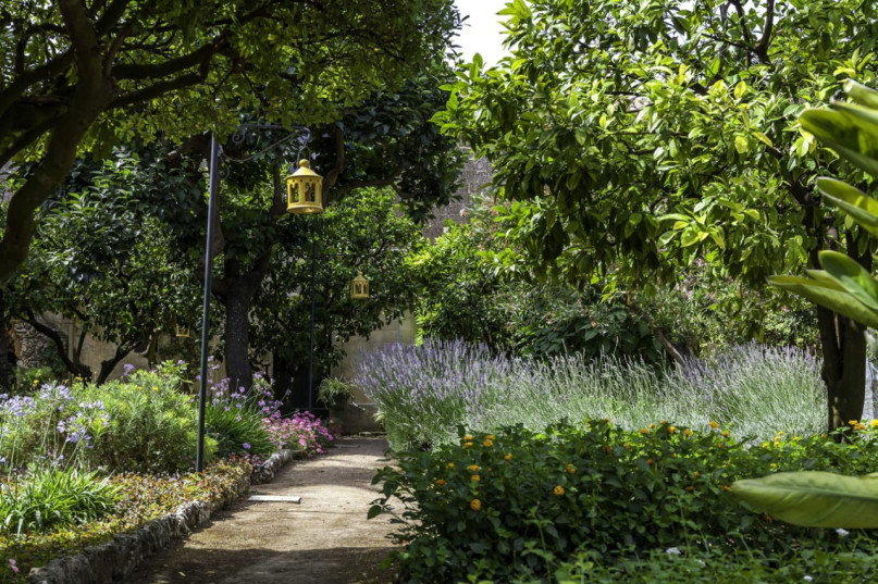 plush74 palazzo giuliana 19