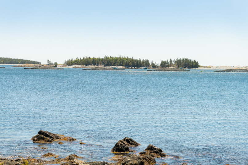 plush74 photo film event location canada nova scotia private ocean 47