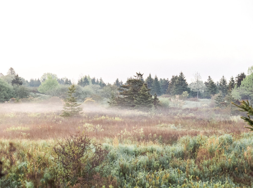 plush74 photo film event location canada nova scotia private ocean 53