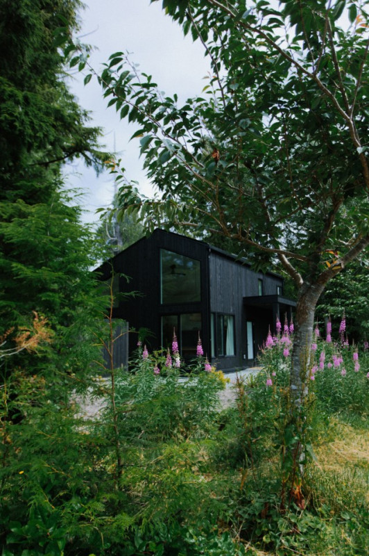 peluche74 película fotográfica lugar del evento tofino bosque oceánico isla de vancouver casa privada 7