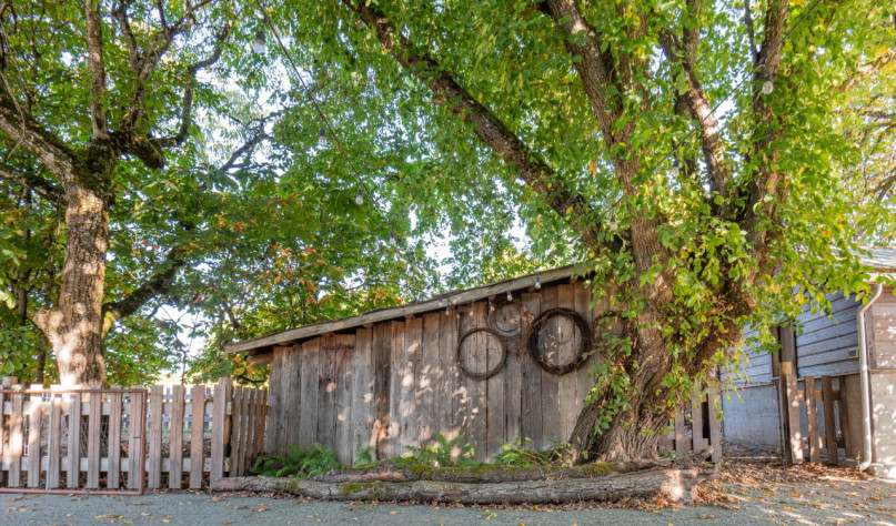 pluche74 fotofilm evenementlocatie vancouver eiland boerderij privéwoning duncan 46