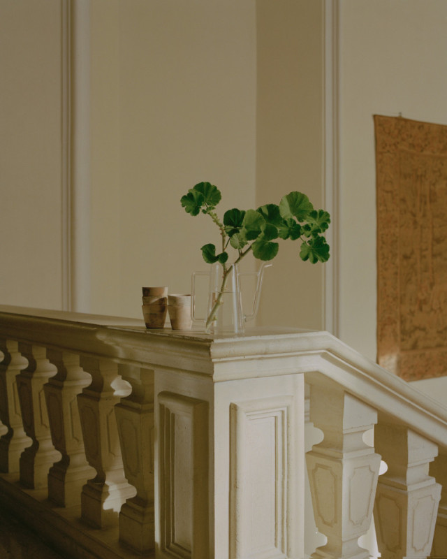 plush74 pink palazzo forli 6 (1)