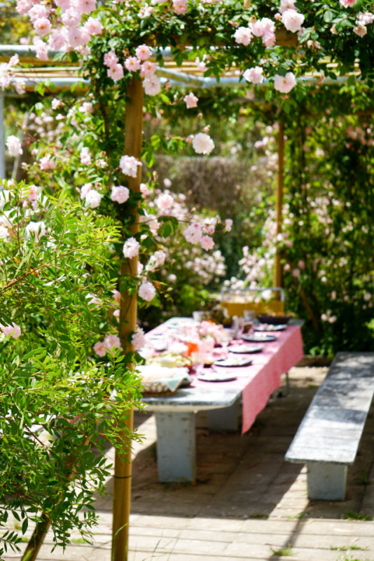 plush74 portuguese oasis villa 15