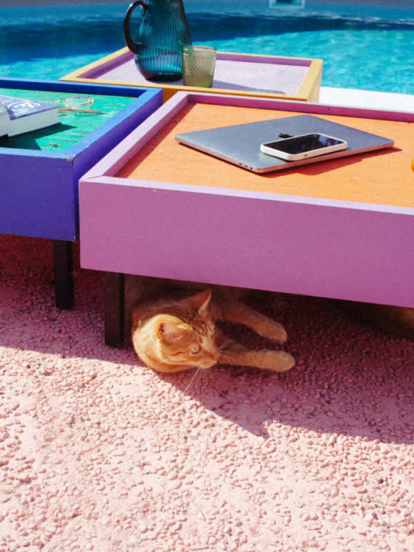 plush74 portuguese oasis villa 18