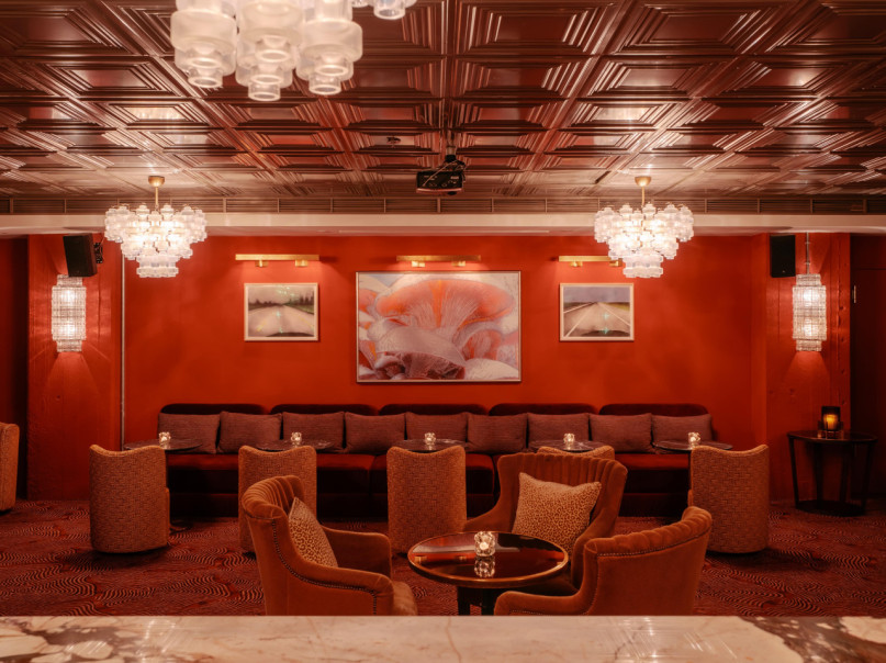 plush74 private cinema for events and screenings in berlin 2