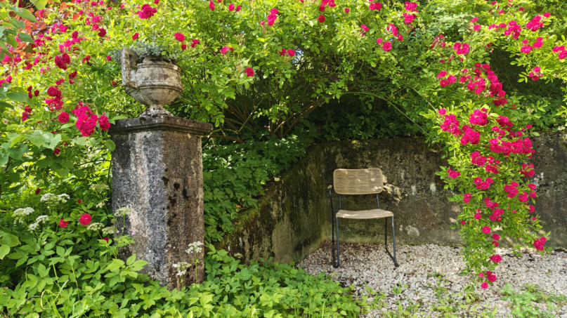 plush74 private garden in aargau 13