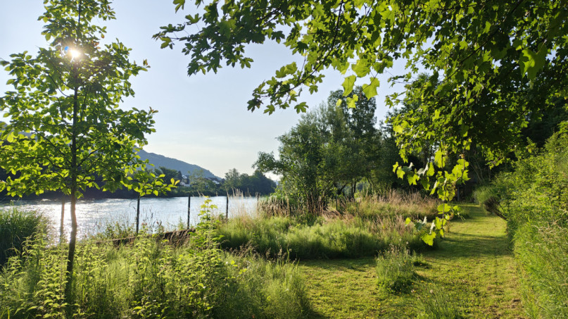 plush74 private garden in aargau 8