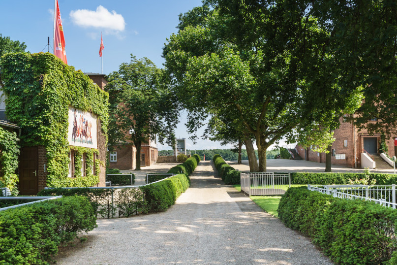 pluche74 renbaan berlijn 12