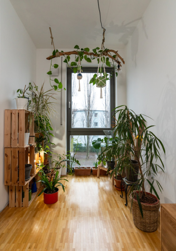 pluche74 verhuur film foto evenement duitsland berlijn appartement 4 (1)