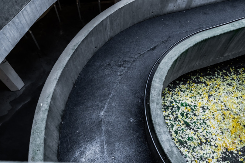 peluche74 alquiler película foto evento alemania berlin factory house loft cinema 50