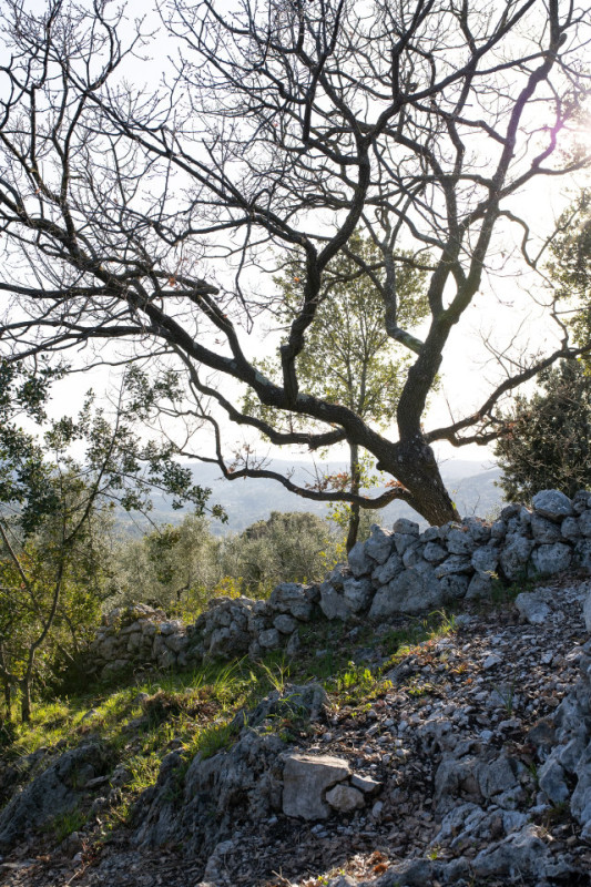 plush74 rental location film photo production00031