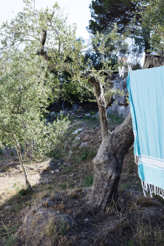 plush74 rental location film photo production00033