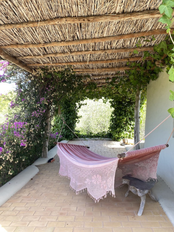 plush74 rental photo film event villa spain ibiza countryside00032