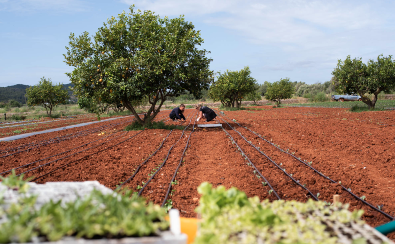 plush74 rental productions locaiton photo film farm ibiza spain00011