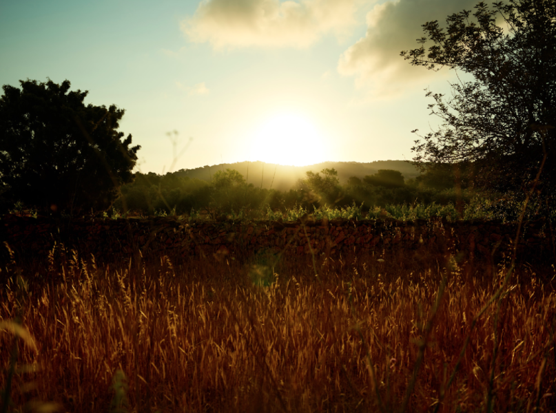 plush74 rental productions locaiton photo film farm ibiza spain00012