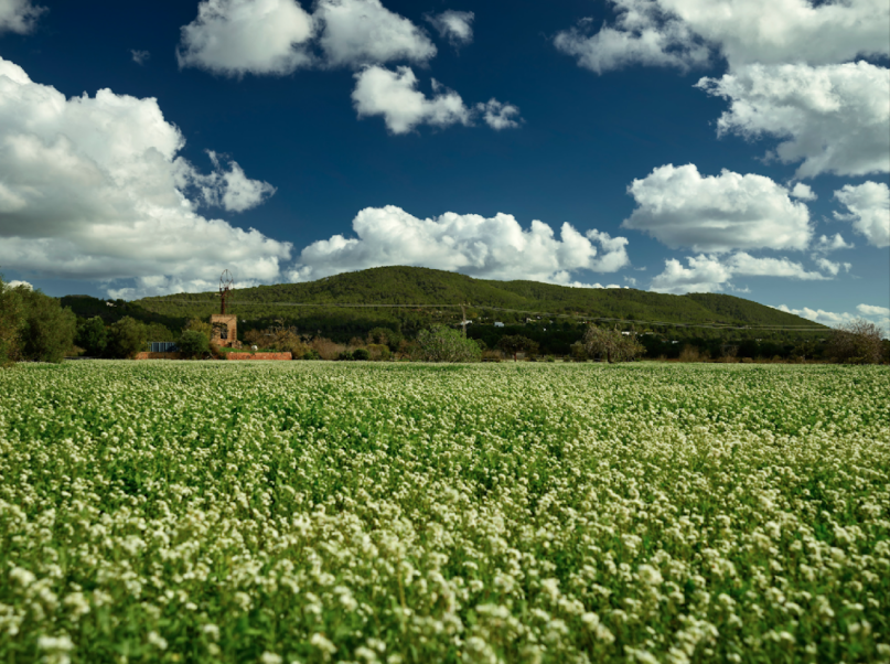 plush74 rental productions locaiton photo film farm ibiza spain00014