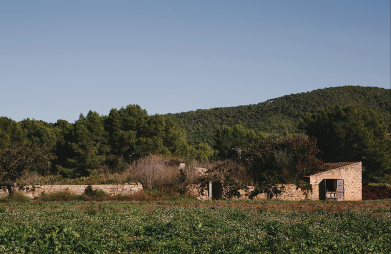 plush74 rental productions locaiton photo film farm ibiza spain00033