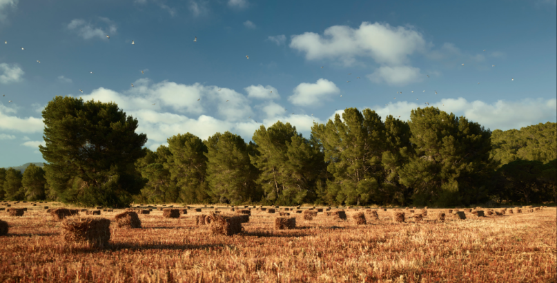 plush74 rental productions locaiton photo film farm ibiza spain00040