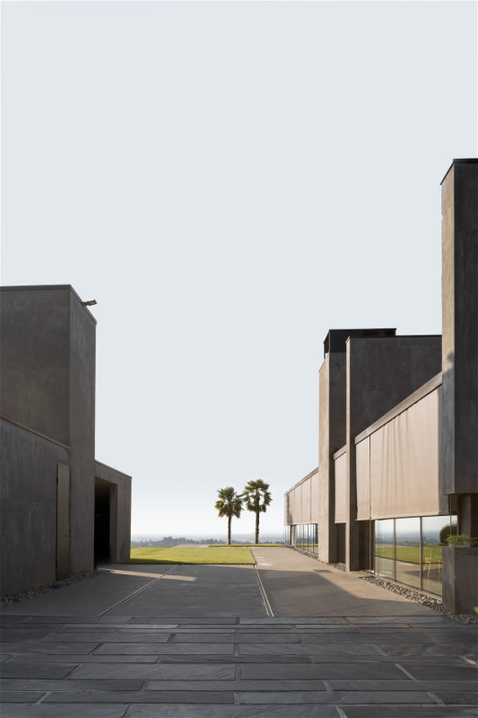 plush74 rinoceronte 1