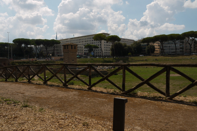 plush74 roma classica 7