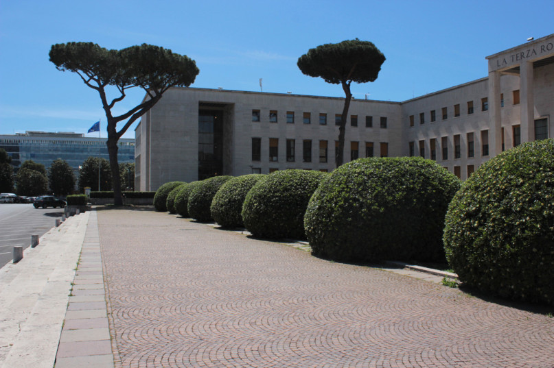 plush74 roma razionale 8