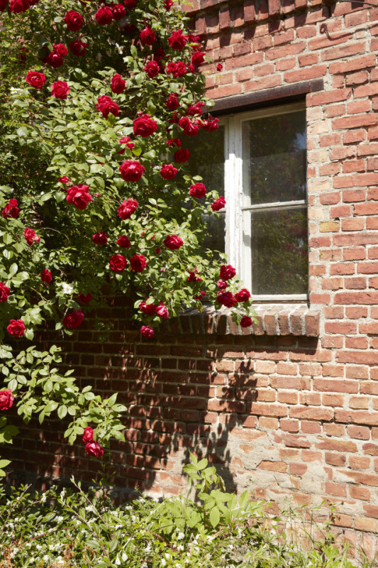 plush74 rustic country house in uckermark 10