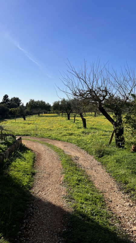 plush74 rustic finca mallorca 35