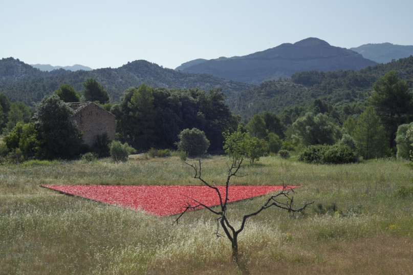 plush74 selection ssgs 11