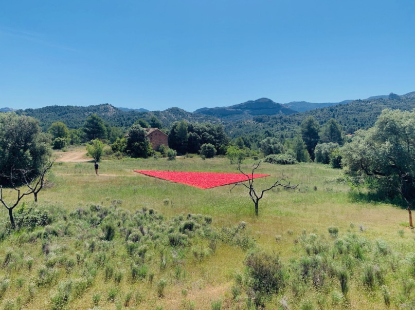 plush74 selection ssgs 12