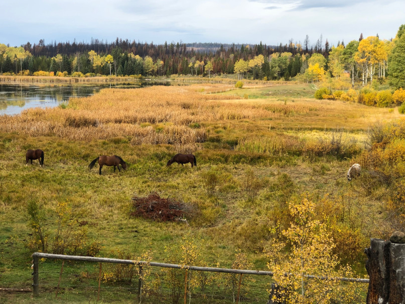 felpa74 sereno frente al lago solar cabañas retiro 11