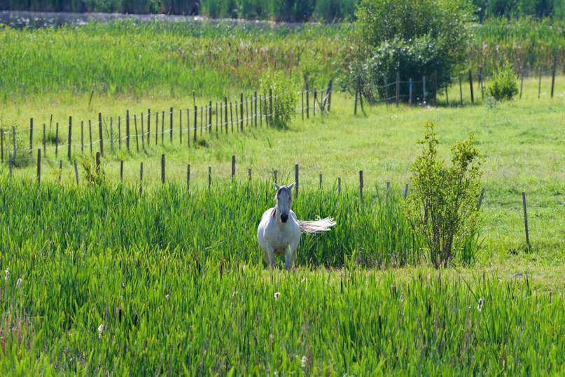 felpa74 sereno frente al lago solar cabañas retiro 15