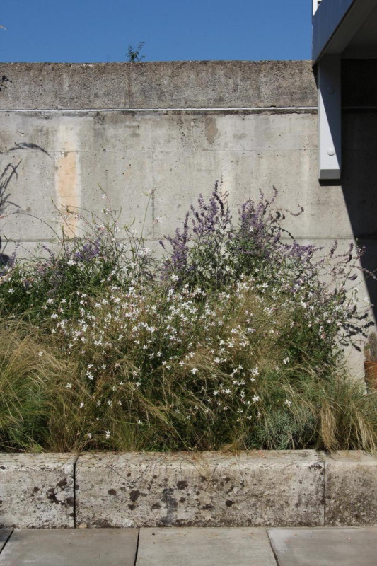 plush74 swiss design apartment 67