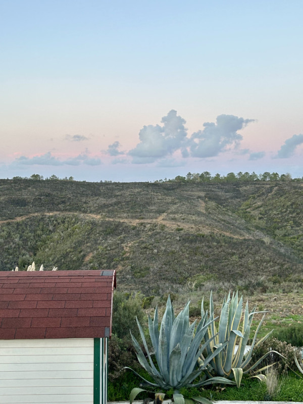 plush74 the beach boutique house 26